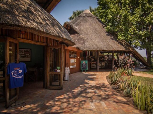 Curio shop Livingstone accommodation