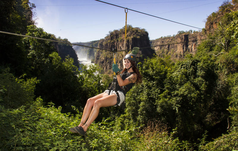 Enjoy the scenery from within and above the tree canopy