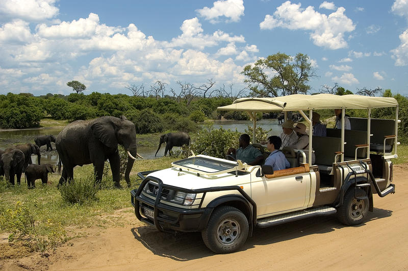 Chobe day safari