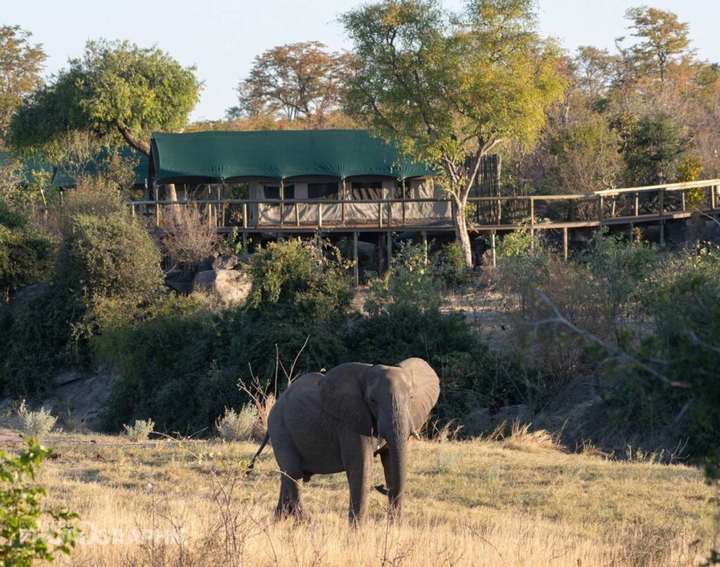 Hwange safari accommodation