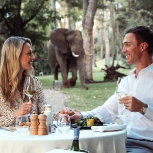 palm river _ dining_al_fresco_with_elephant_-_prh_12