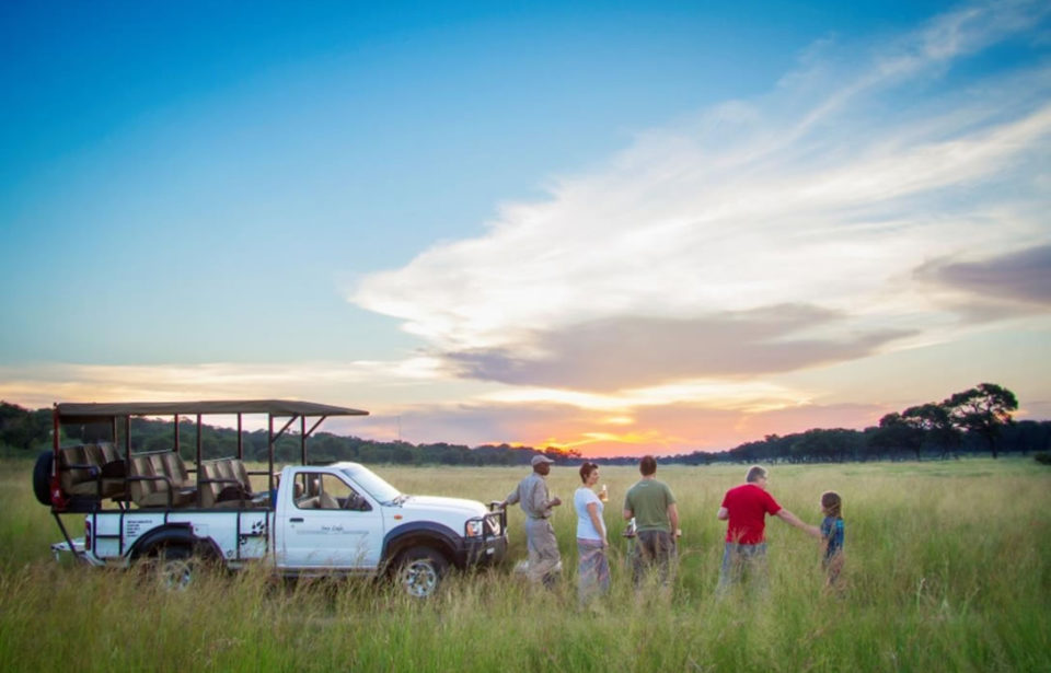 Game drives in Hwange at Ivory LOdge