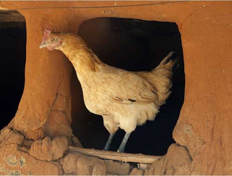 Village tour LIvingstone