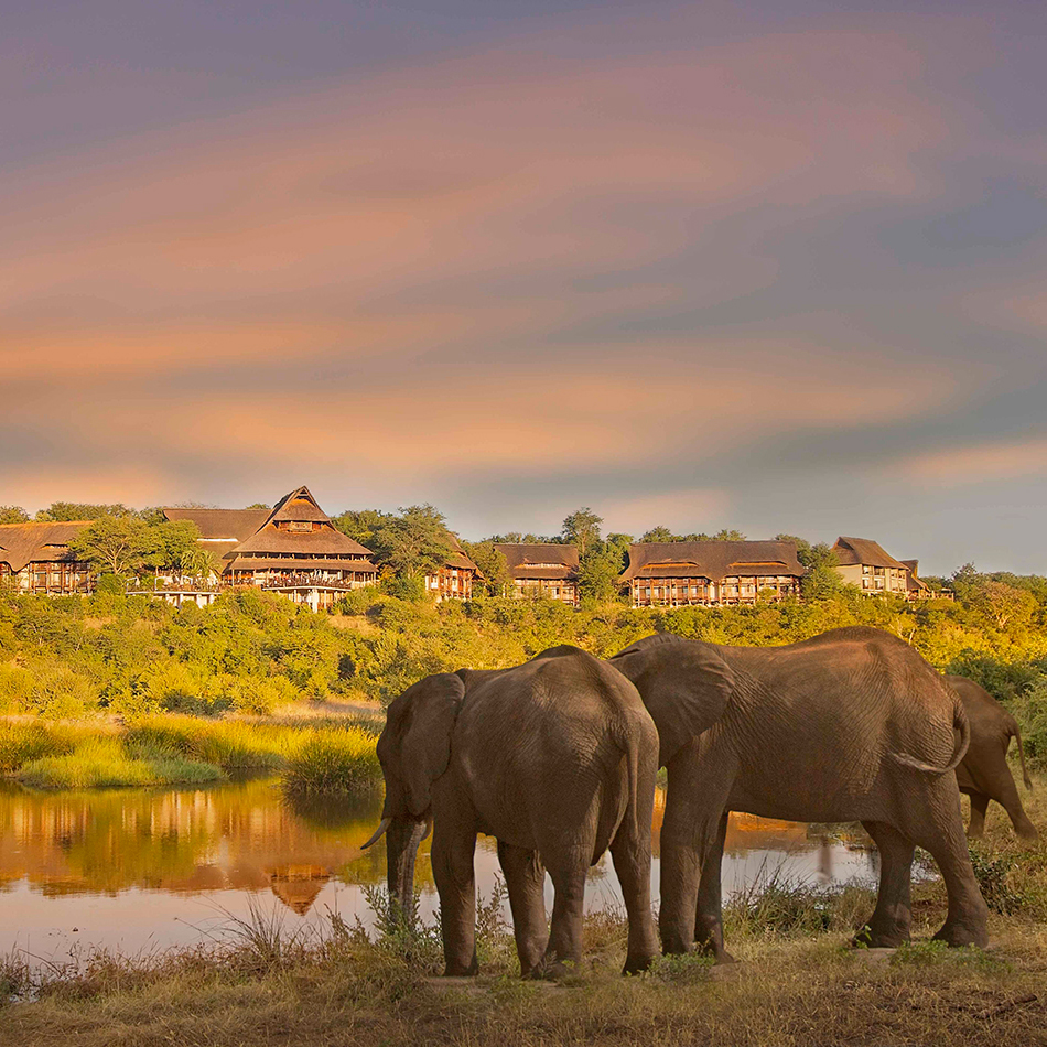 Elephants-in-front-of-Victoria-Falls-Safari-Lodge