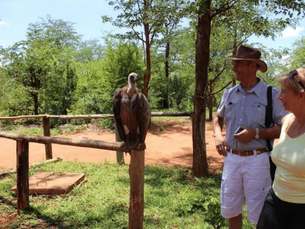 Elephant Camp activities