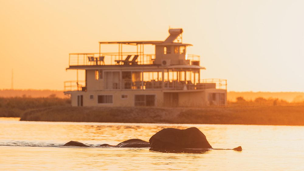 Chobe princess