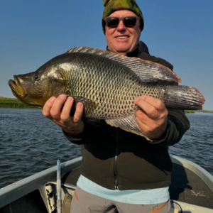 Humpback bream