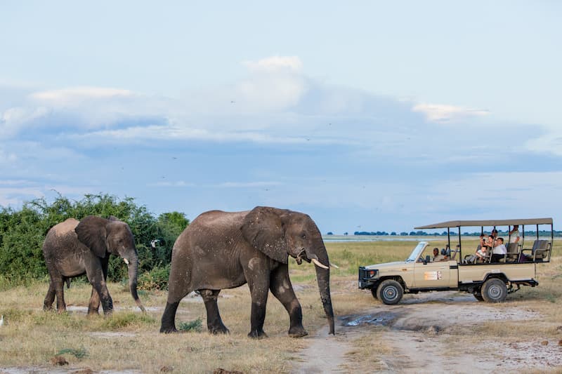Chobe game drive