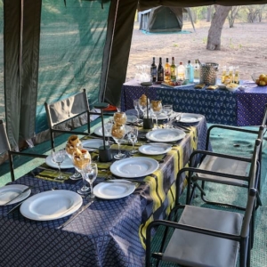 luxury-afternoon-dining – Copy