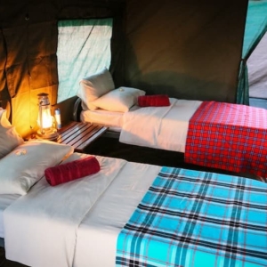 luxury-tent-beds – Copy