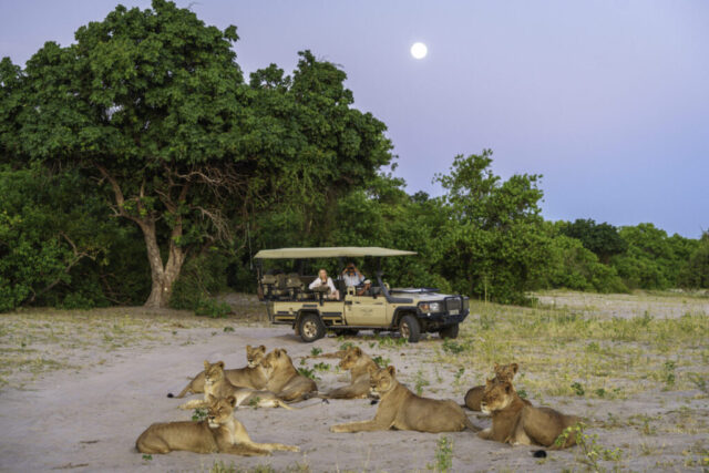 Chobe-Game-Lodge-drive