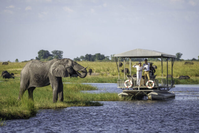 Chobe-Game-Lodge-safari-cruise
