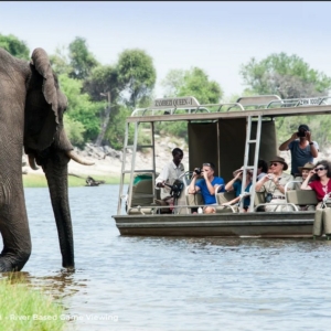 Zambezi-Queen-game-viewing