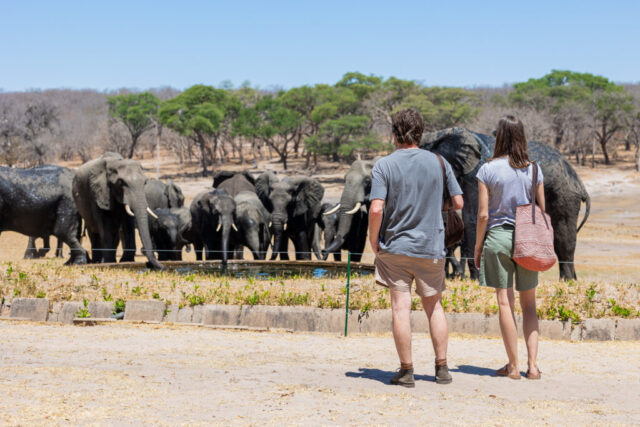 Hwange Safari Lodge game watching