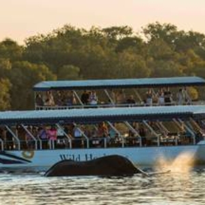 Standard cruise