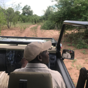 game-drive-activity
