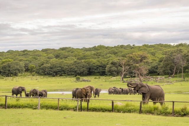 hwange-safari-lodge-11