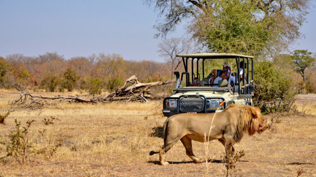 hwange-safari-lodge-12