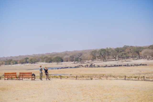 hwange-safari-lodge-14